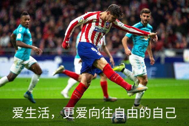 爱生活，更爱向往自由的自己
